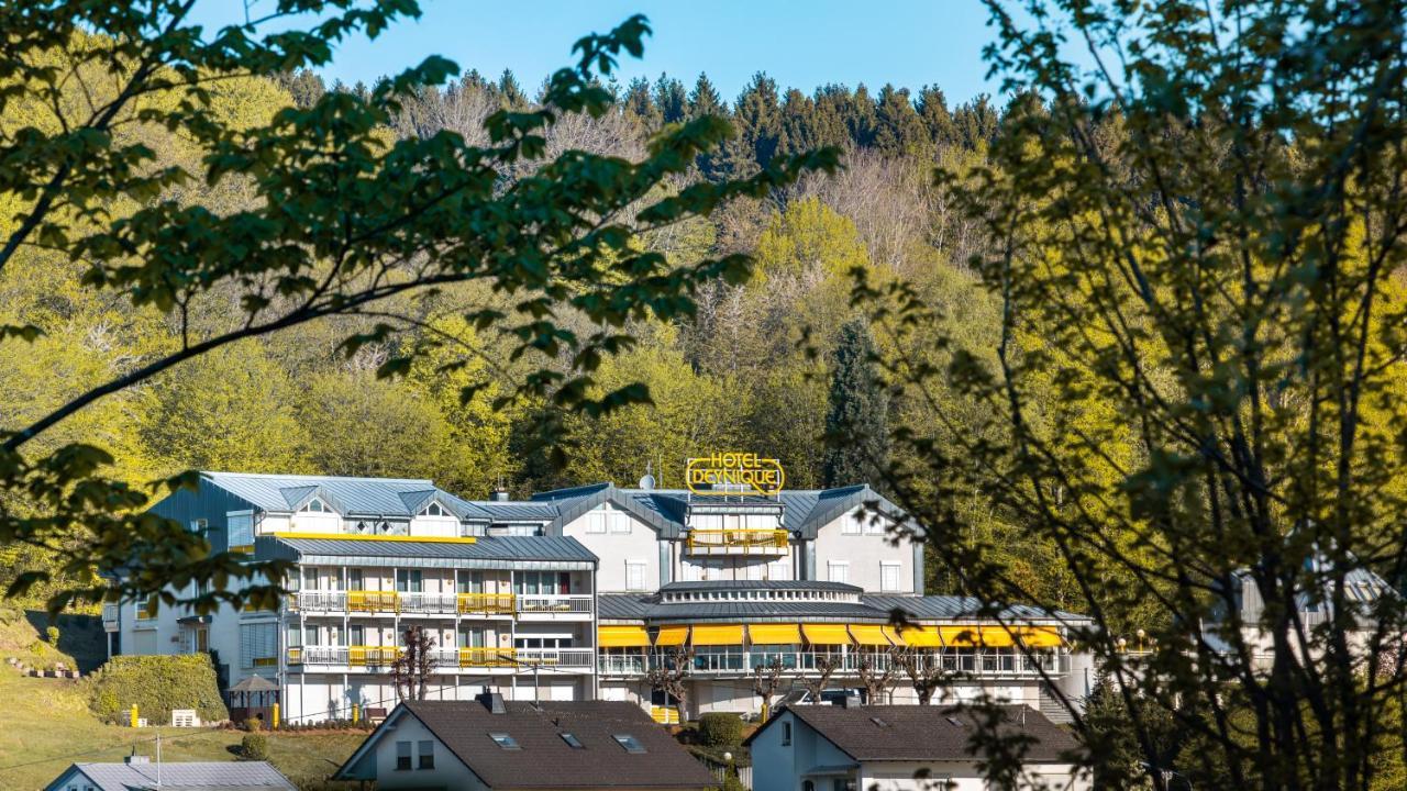 Hotel Deynique Westerburg  Exteriér fotografie